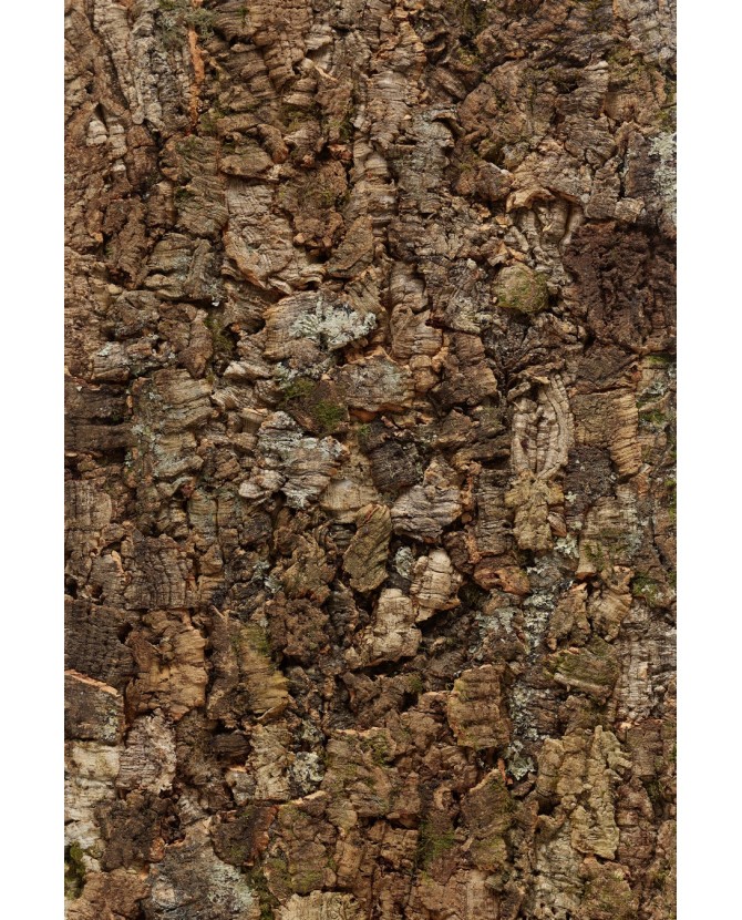 Liège de décoration brute brun foncé en dalle murale pour un effet nature garantie.